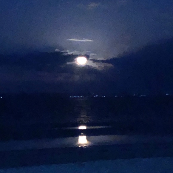 Meet your Posher, Joey - Picture 2 of 8